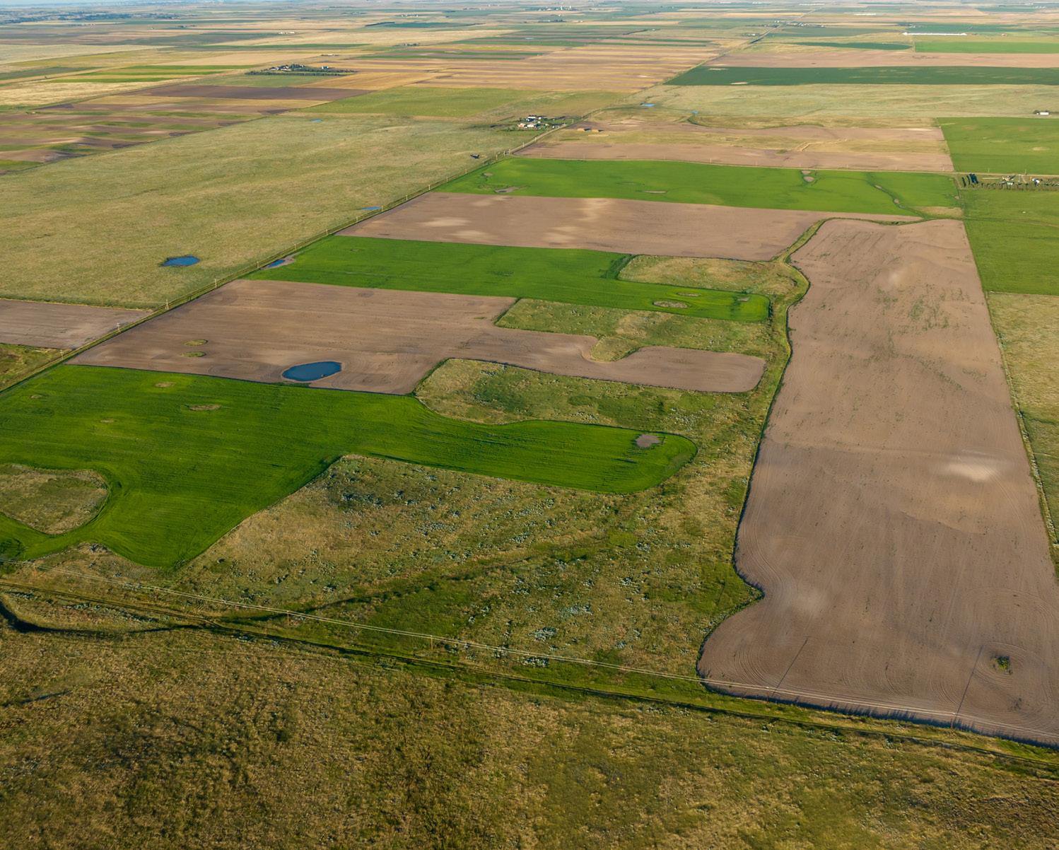 Commercial Roofing in Albin, WY