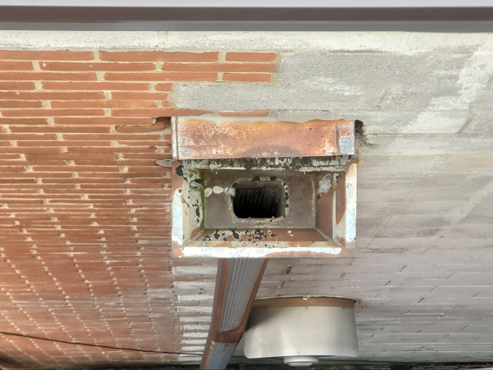 Roof Drain and Scupper Repair